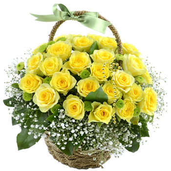 ��ǰ�ڼ�������