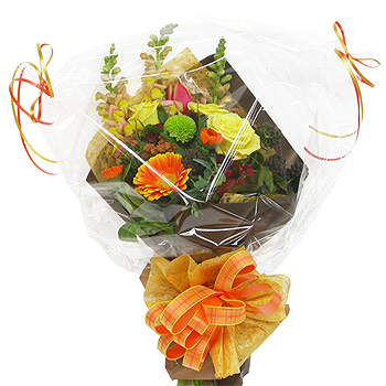 ��ǰ�ڼ�������