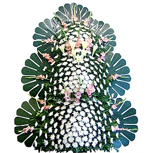 ǰ